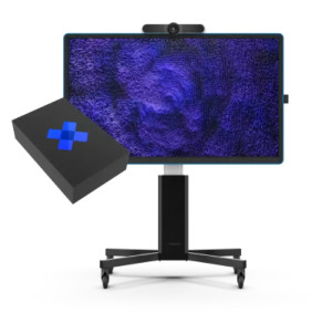 CTOUCH Brix: For Teams Go, CTOUCH, Riva, Canvas, 258000010, Whiteboard Accessory