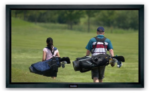 SAPPHIRE SFSC203-10 2.39 m (94") 16:10 Wall Projection Screen